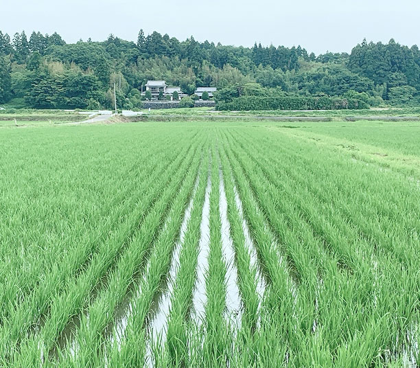 7月