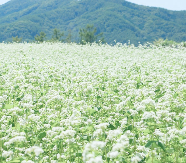 10月