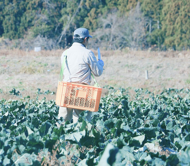 12月