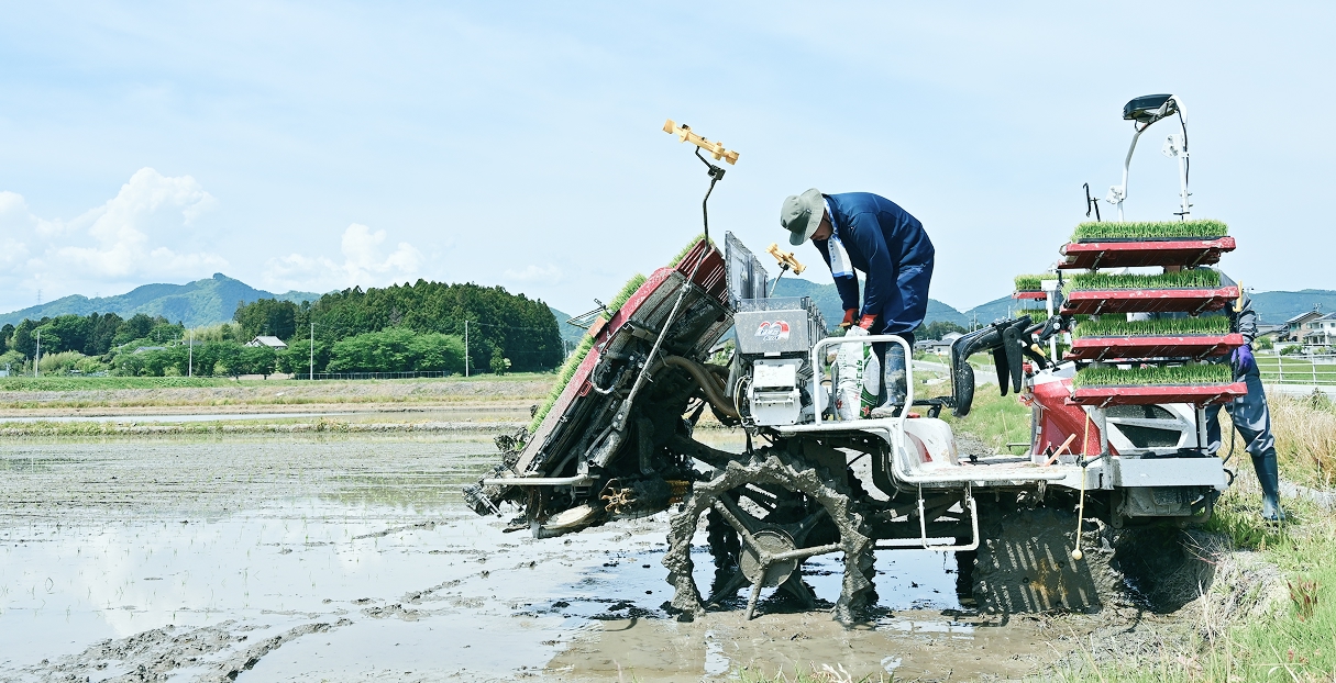 グラン・ファーム田植え