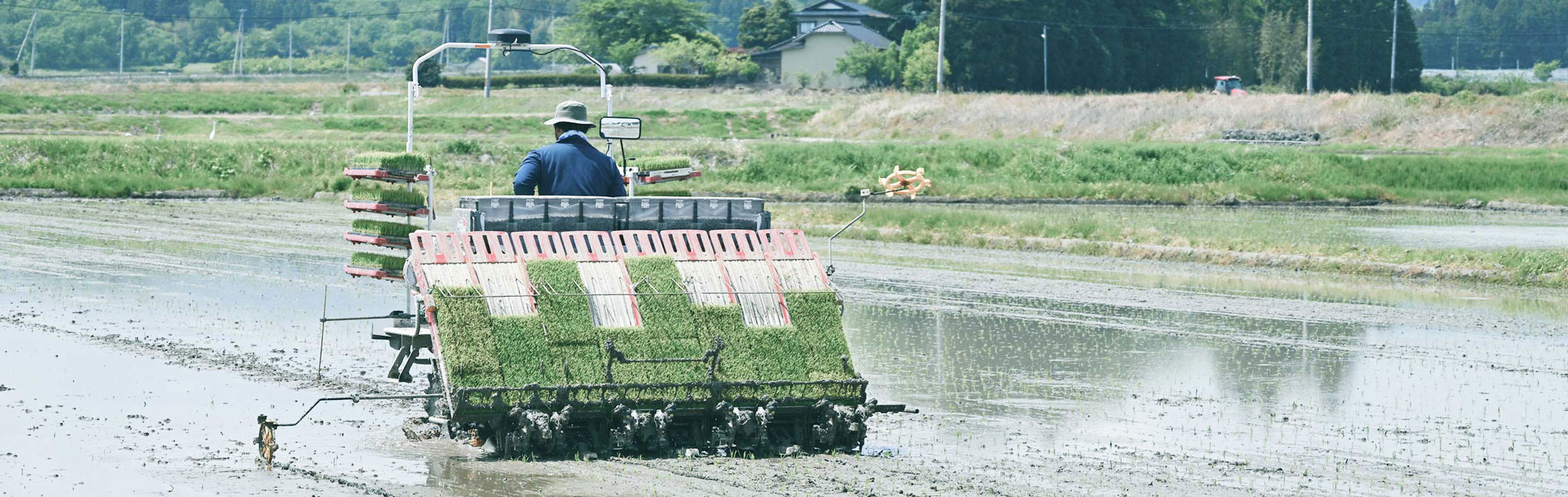 グラン・ファーム田植え