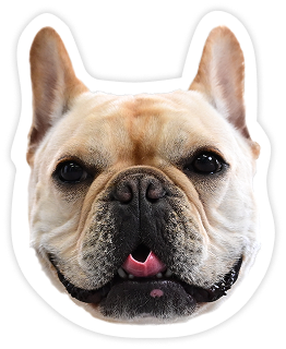 グラン・ファーム看板犬